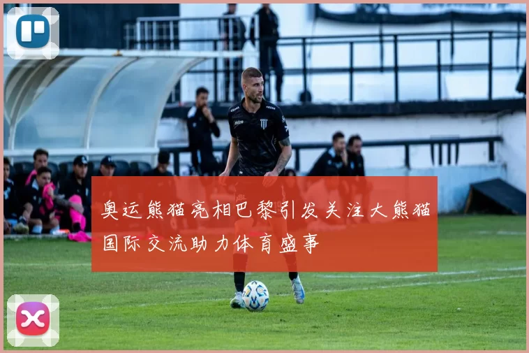 奥运熊猫亮相巴黎引发关注大熊猫国际交流助力体育盛事